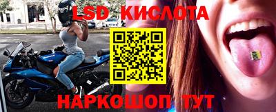 крисы Лесосибирск