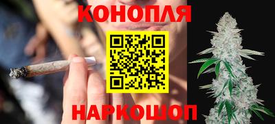 крисы Лесосибирск