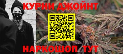 крисы Лесосибирск