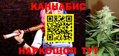 крисы Лесосибирск